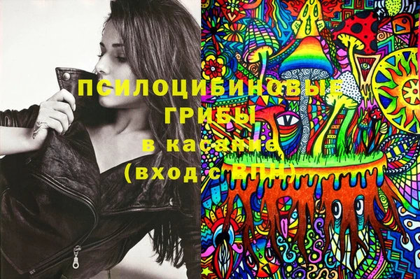 шишки Нефтегорск
