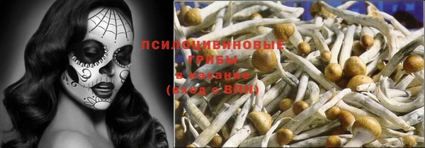 метадон Алексин