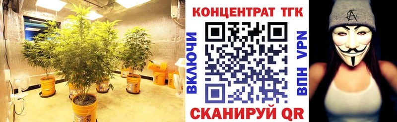 Дистиллят ТГК концентрат  купить закладку  Оленегорск 